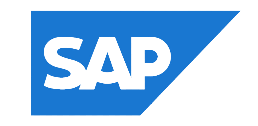 SAP Developers Ongoing Technical Audit